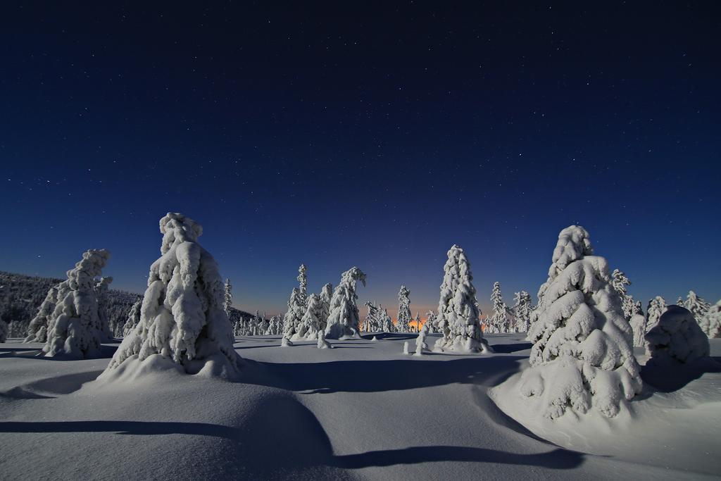 Family Bungalows & Camp Vrchlabí Екстериор снимка